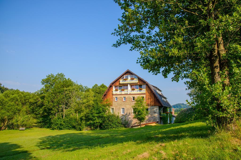Hotel Frankenschleif Waldmuenchen Luaran gambar